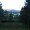 DSCN0321
